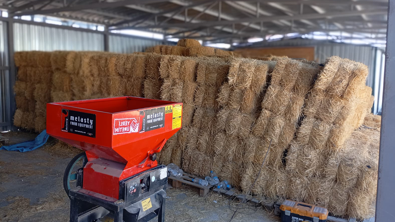 Balya Desteği De Sağlanacak