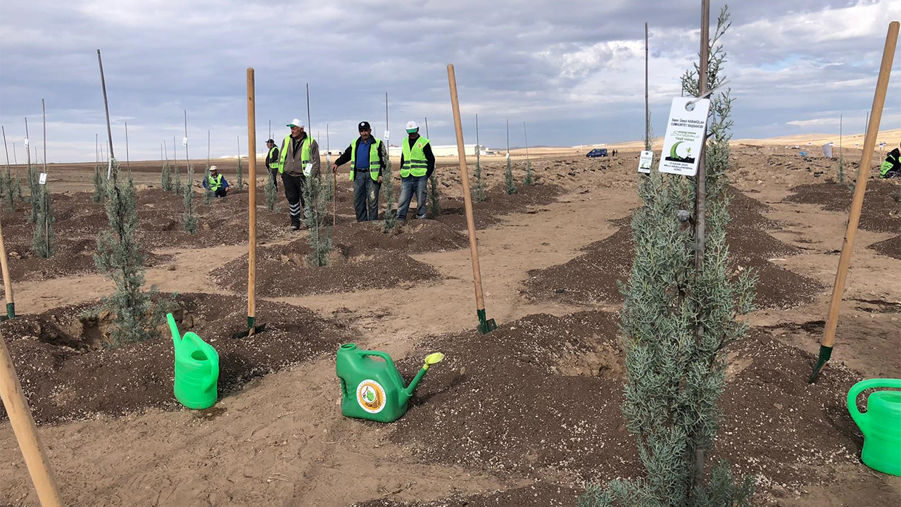 Binlerce Fidan Toprakla Buluştu