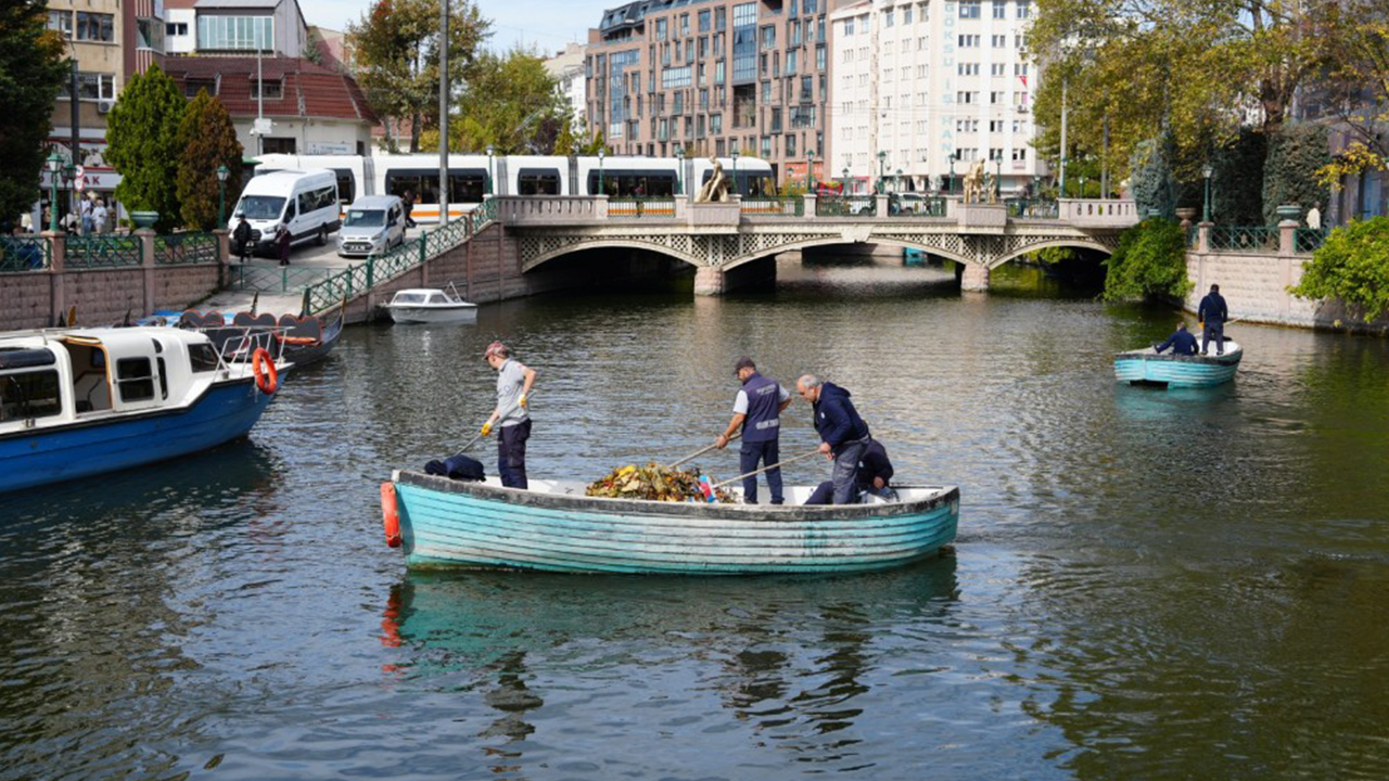 Doğal Yöntemlerle Temizlik Yapılıyor