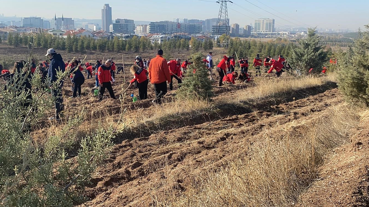 Gönüllüler Fidan Dikim Etkinliğinde Buluştu