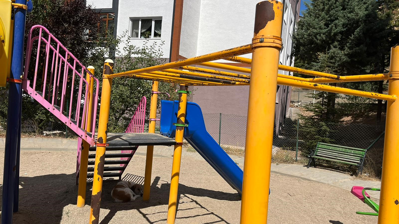 Park Içinden Görüntüler