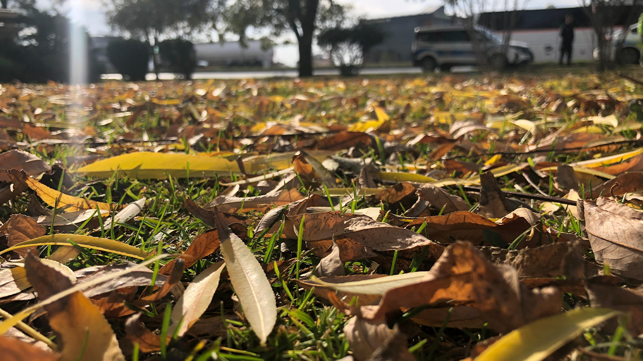 Sonbahar Renkleri Görenleri Hayran Bırakıyor