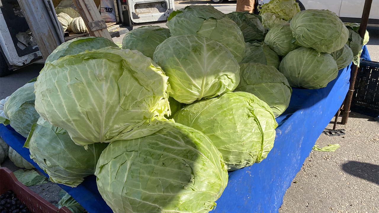 Tezgahlar Dev Lahanalarla Doldu