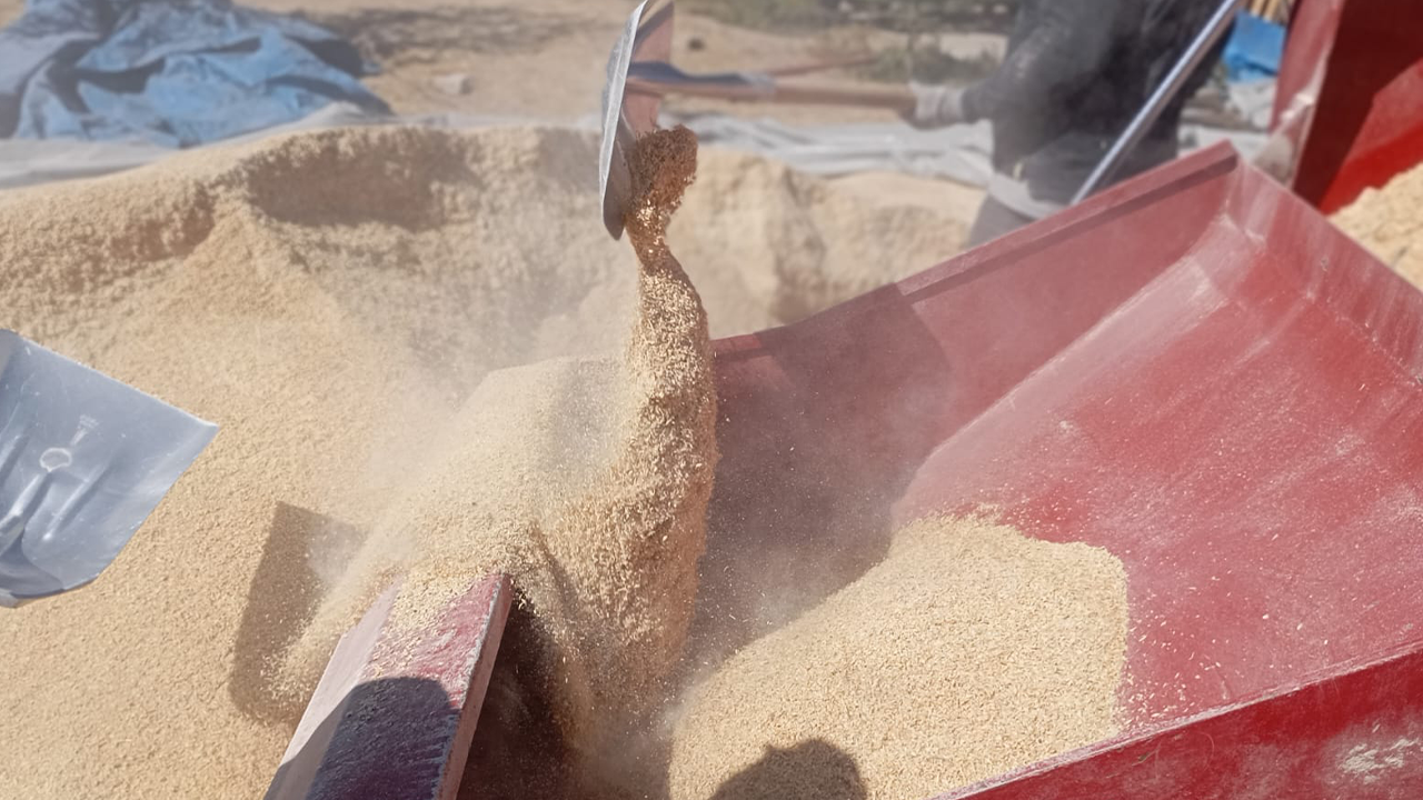 Tohumdan Çuvala Yerli Üretim