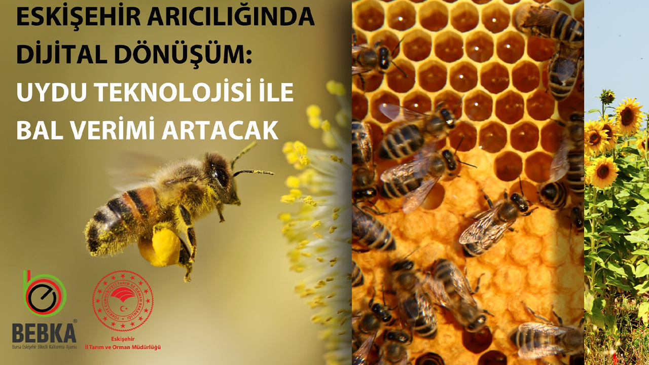 Arıcılıkta Dijital Dönüşüm