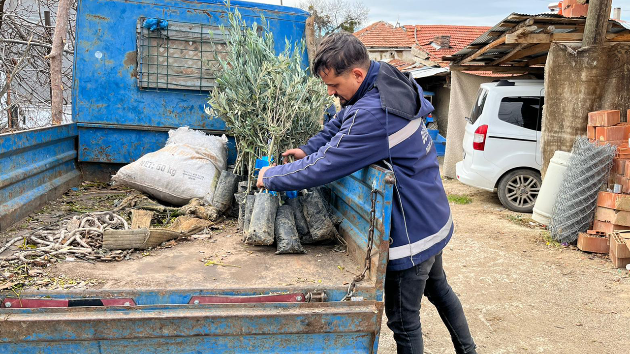 Birçok Bölgede Sertifikalı Fideler Dağıtıldı
