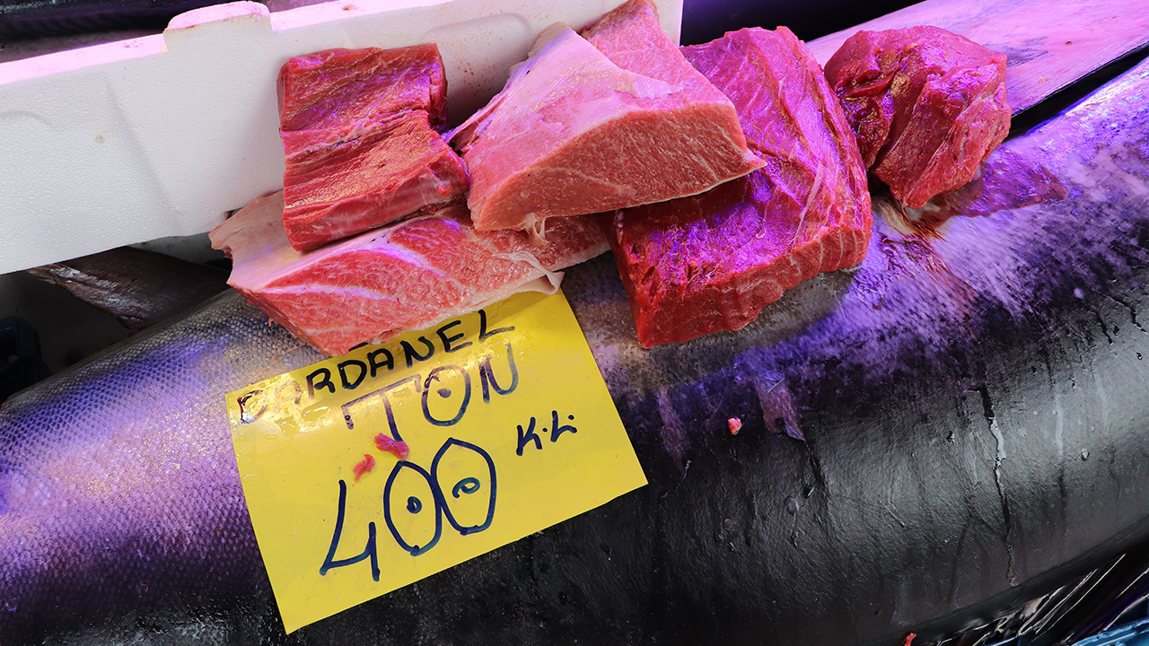 Dev Balık Satışa Sunuluyor