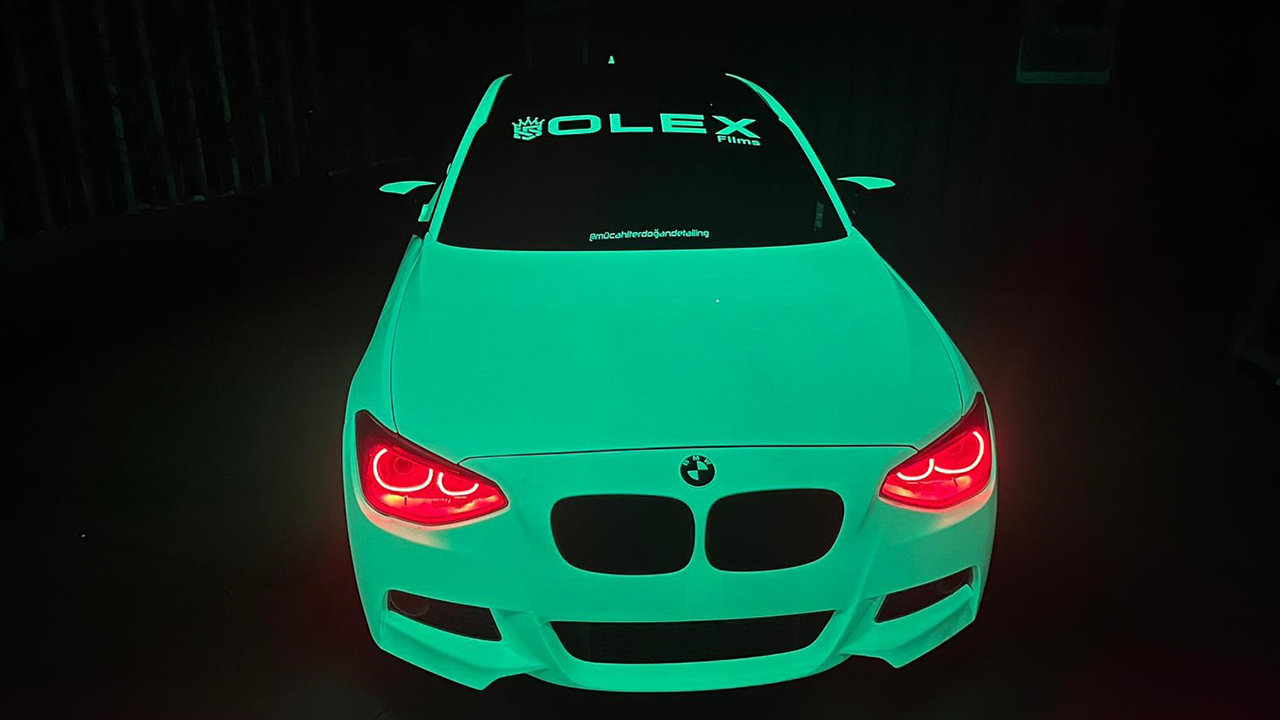 Dünyada Sınırlı Sayıda Örneği Var