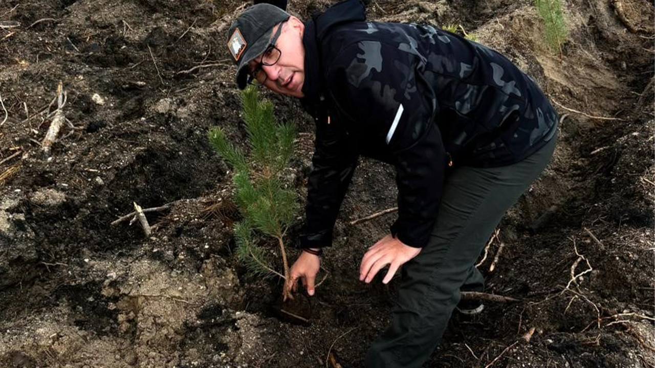 Fidan Dikim Etkinliği Ve Doğa Yürüyüşü Yapıldı