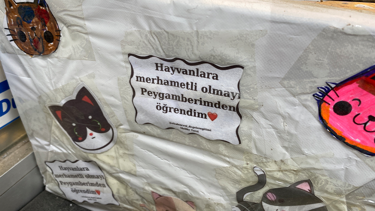 Kedi Yuvasının Üzerindeki Not