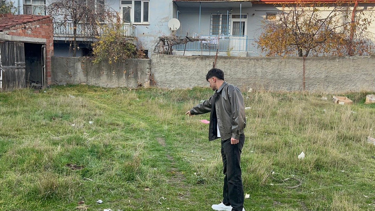 Kedilerin Bulunduğu Alan