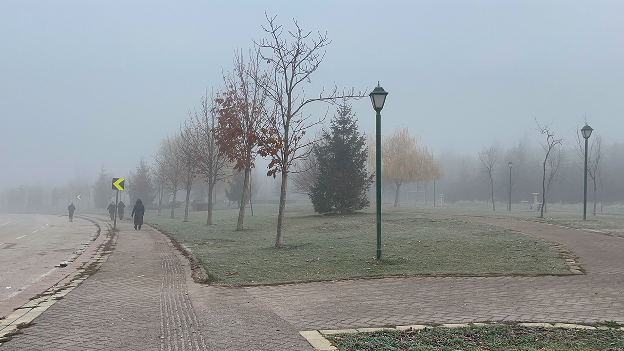 Kent Genelinde Sis Etkili Oldu