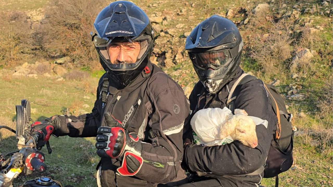 Kuzuyu Annesine Kavuşturdular