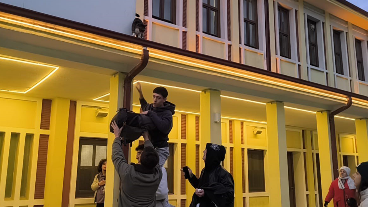 Oyuncu Kediyi Dakikalarca Kurtarmaya Çalıştılar