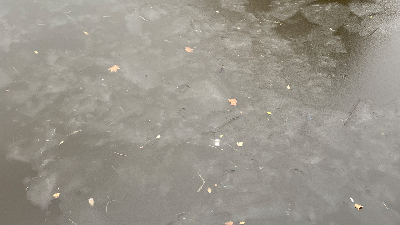 Su Yüzeyinde Buz Parçaları Oluştu