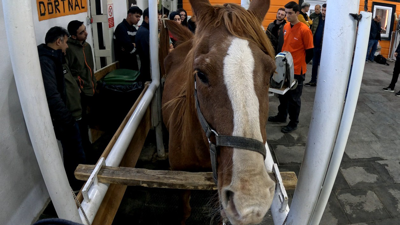 Uygulamalı Eğitimler Verildi