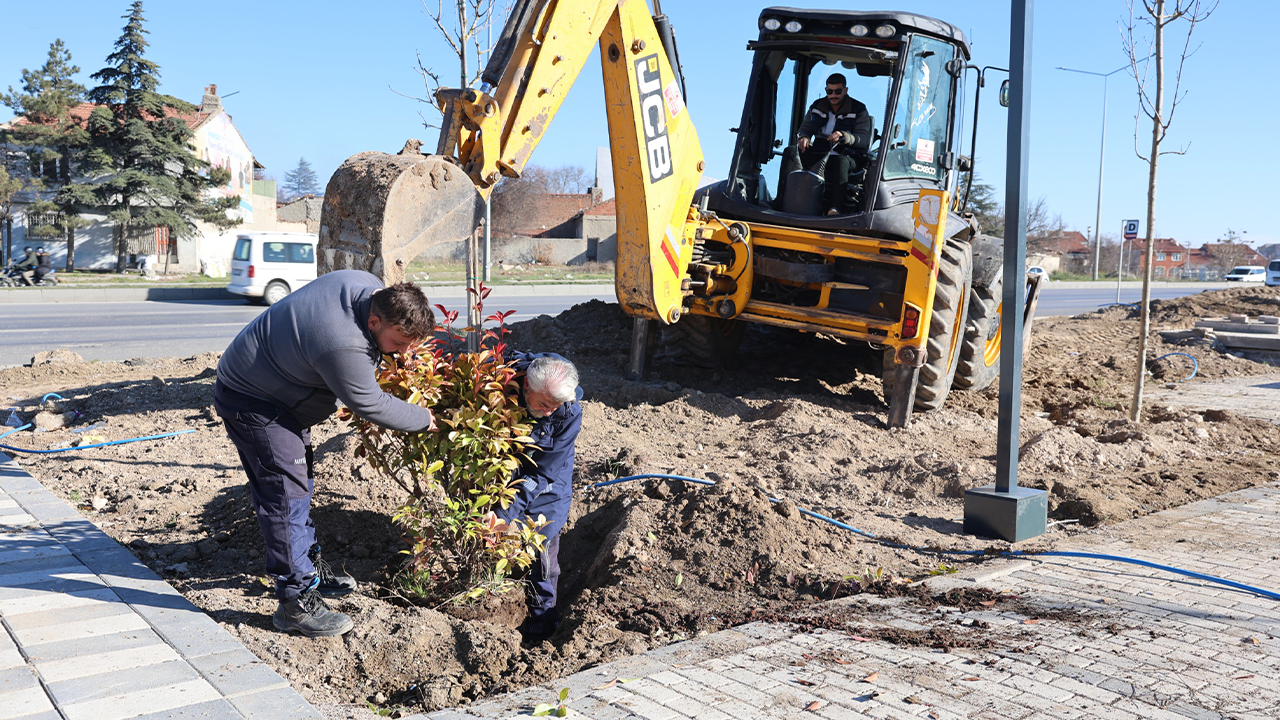 Yeşillendirme Ve Çevre Düzenlemeleri Devam Ediyor