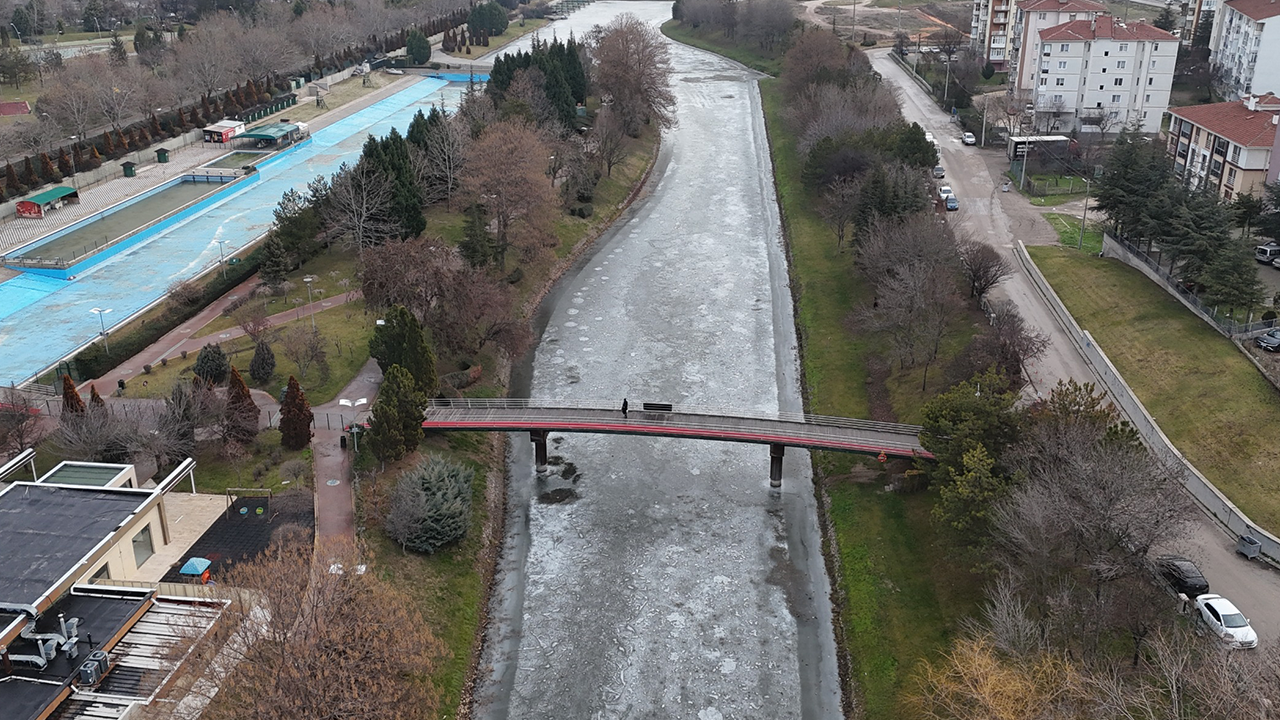 Buz Tutan Porsuk Havadan Görüntülendi