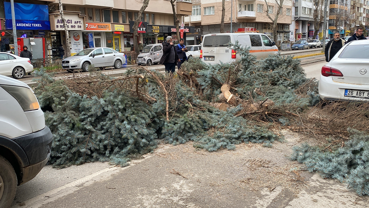Devrilen Ağaçlar Yolları Kapattı-1
