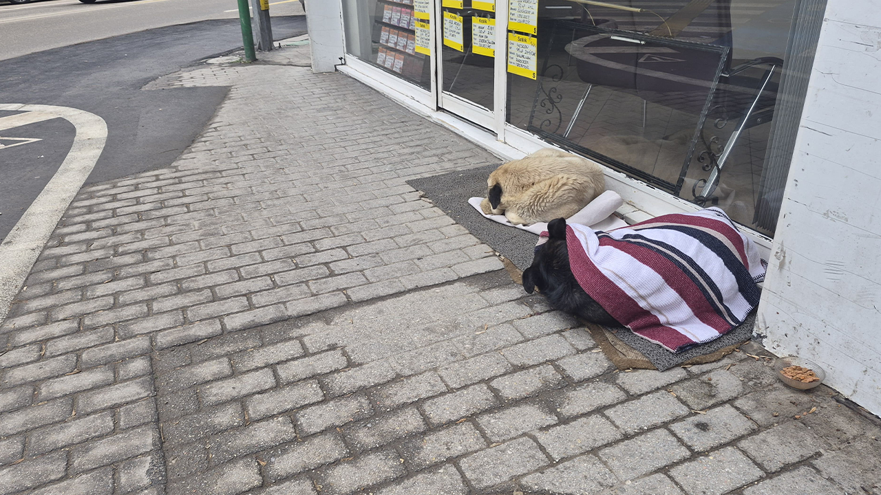 Duyarlı Davranış Takdirle Karşılandı