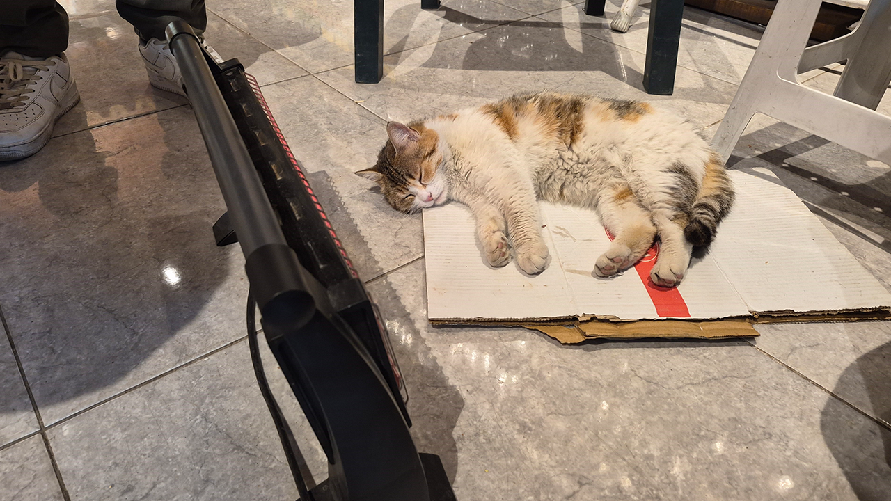 Soğuk Havadan Bakkala Sığındı