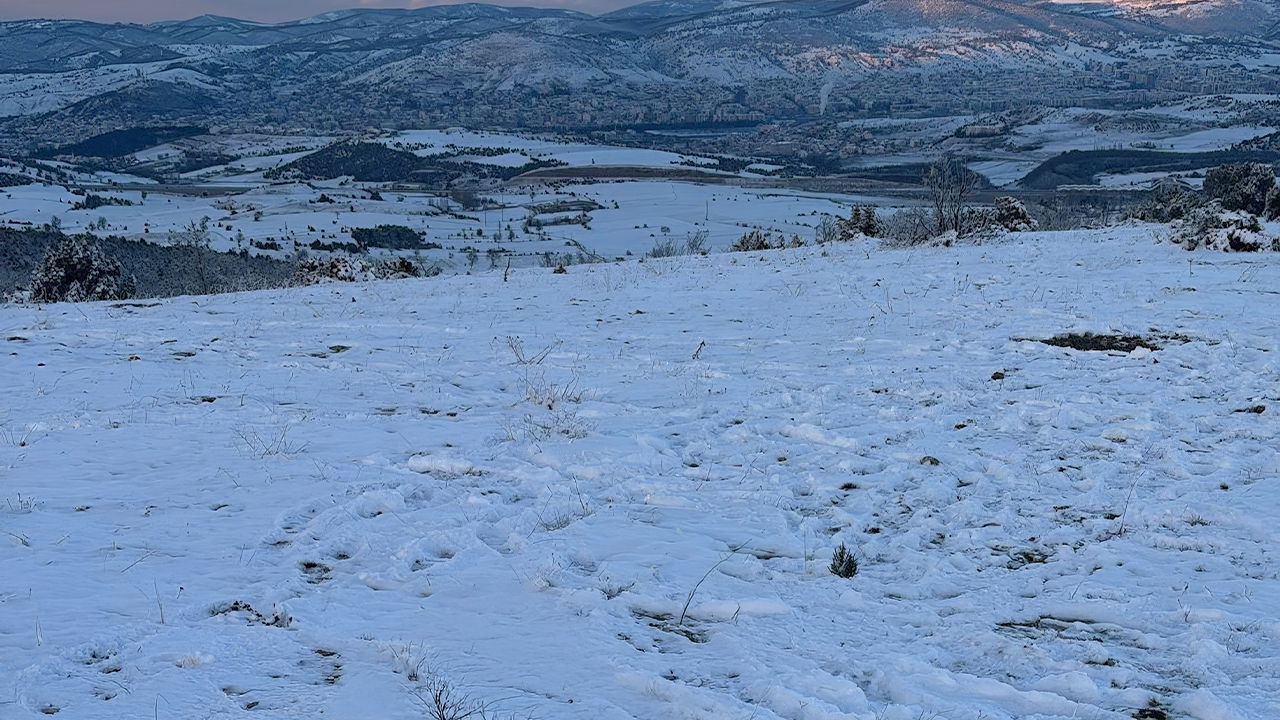 Söz Konusu Alandan Görüntüler