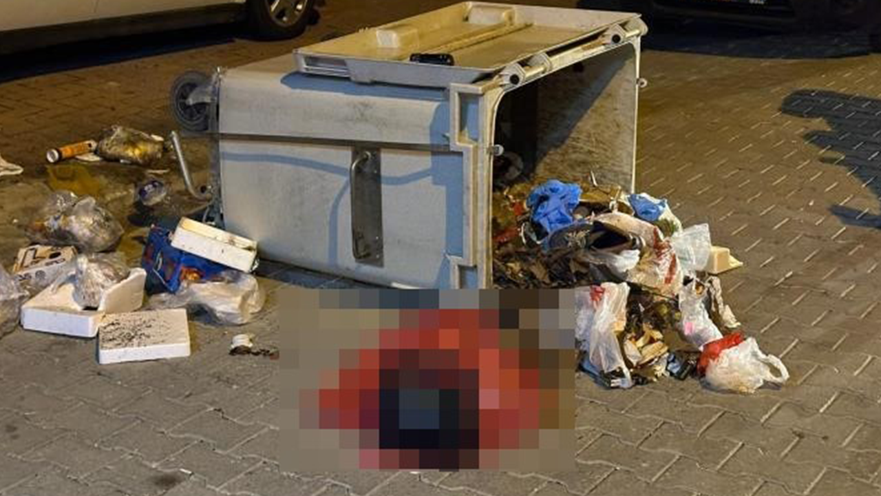 Talihsiz Bebeğin Cansız Bedenine Ulaşıldı