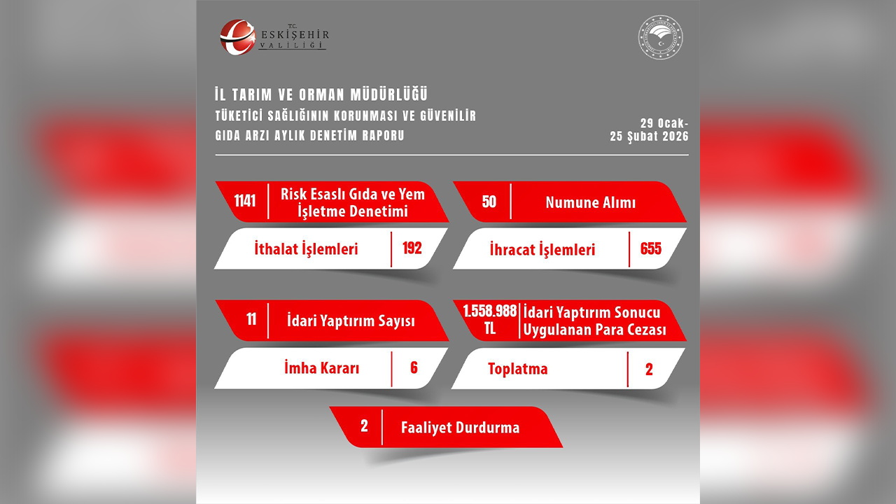 29 Ocak, 25 Şubat Denetim Raporu