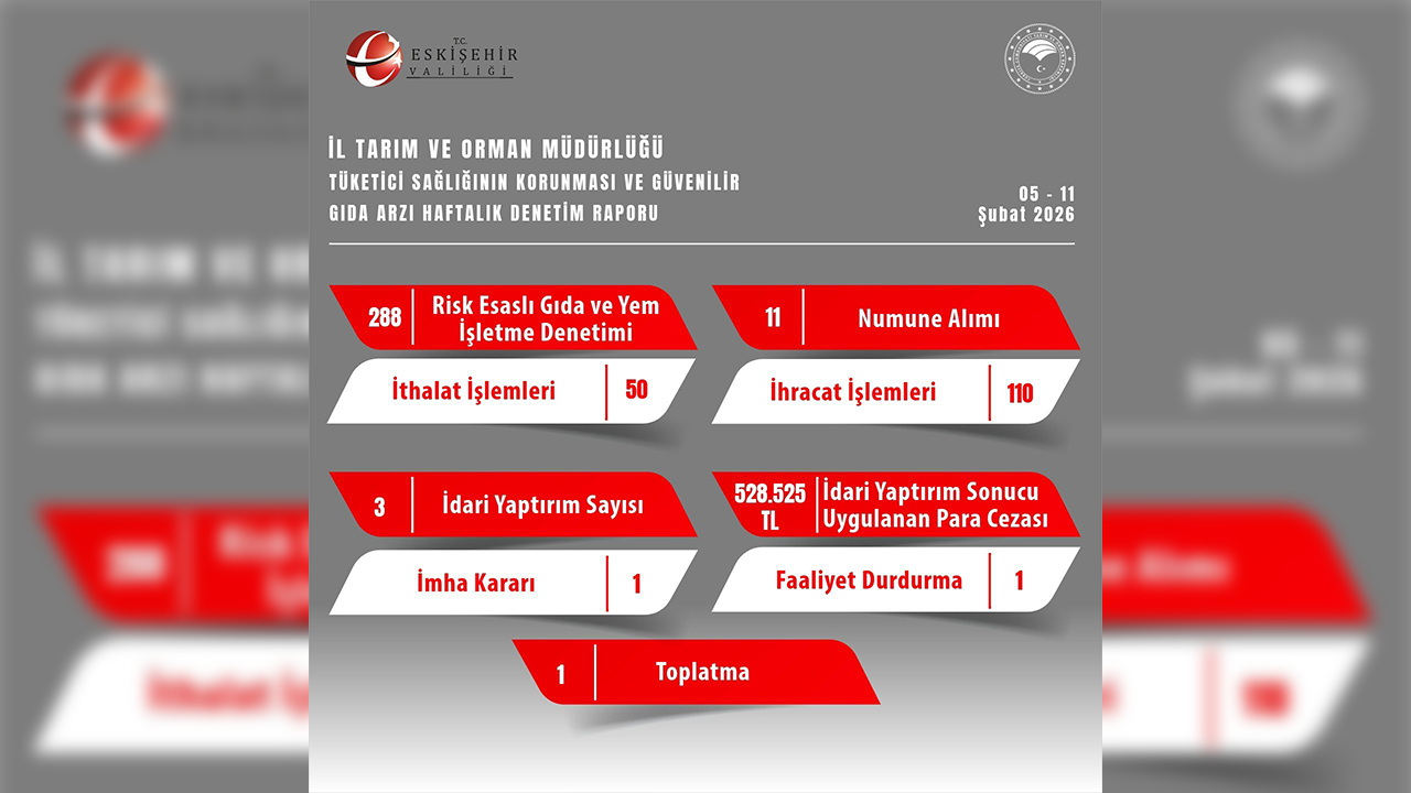 5, 11 Şubat Denetim Raporu