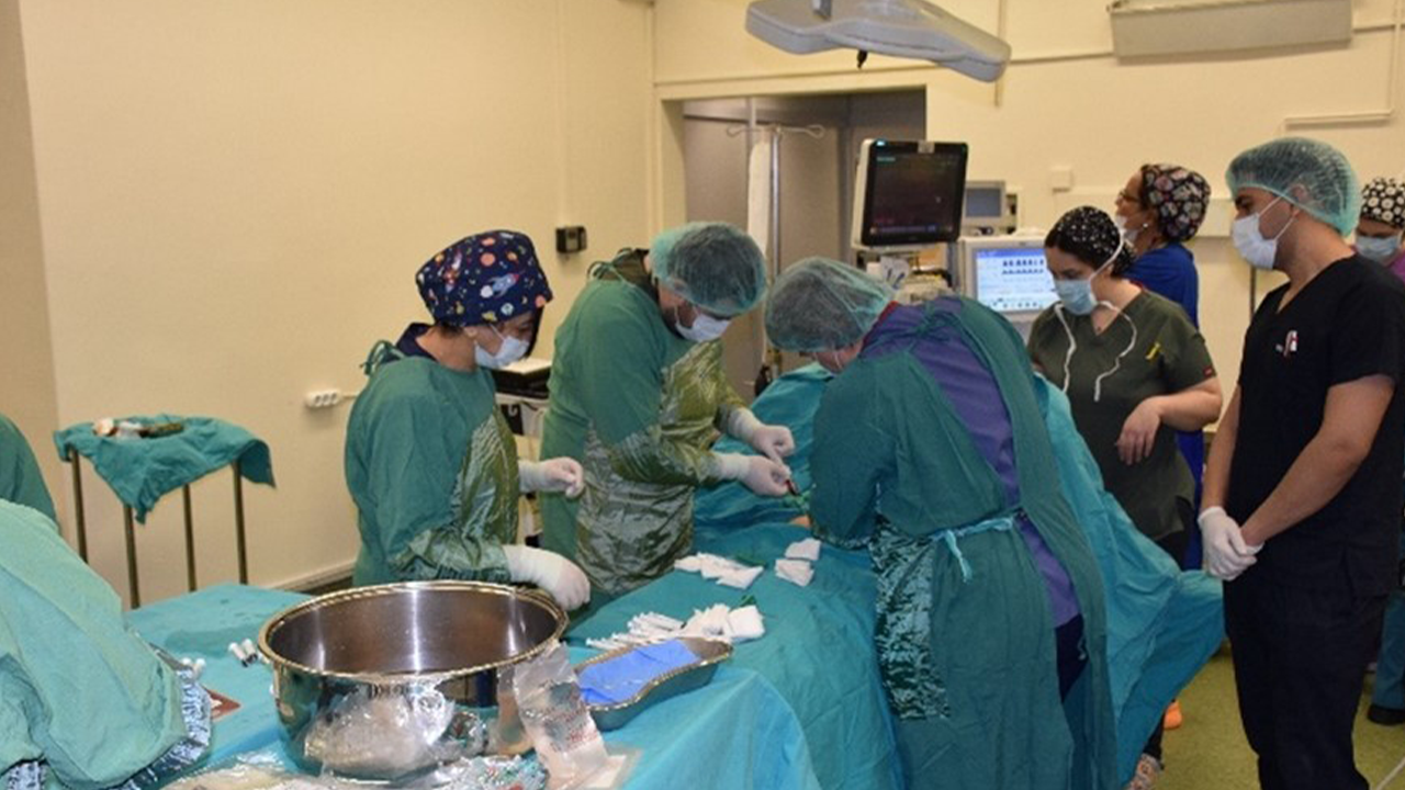 Kemik Iliği Nakli Çocuklara Umut Oluyor