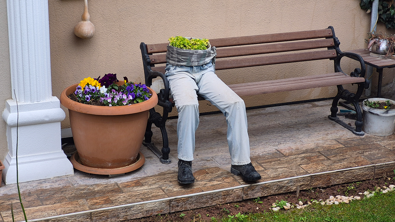 Bahçeden Görüntüler