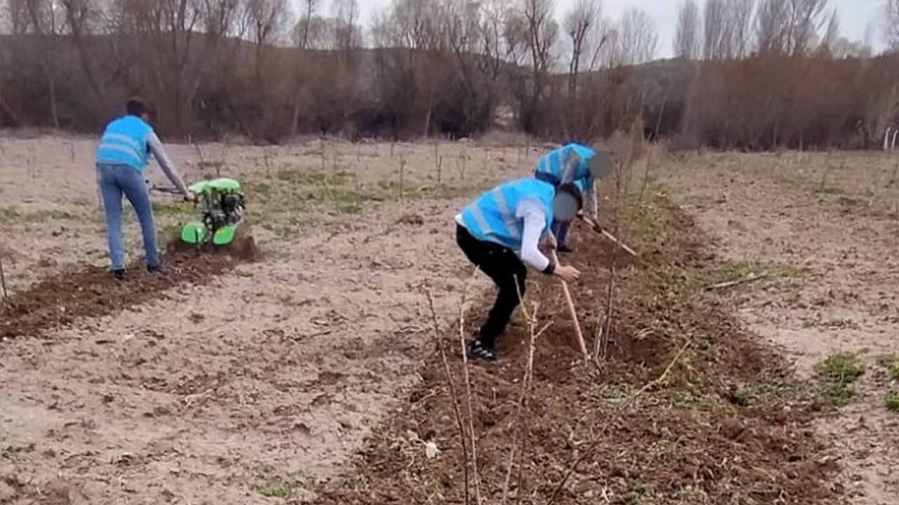 Eskişehir’de Denetimli Serbestlik Yükümlülerinden Doğaya Katkı!
