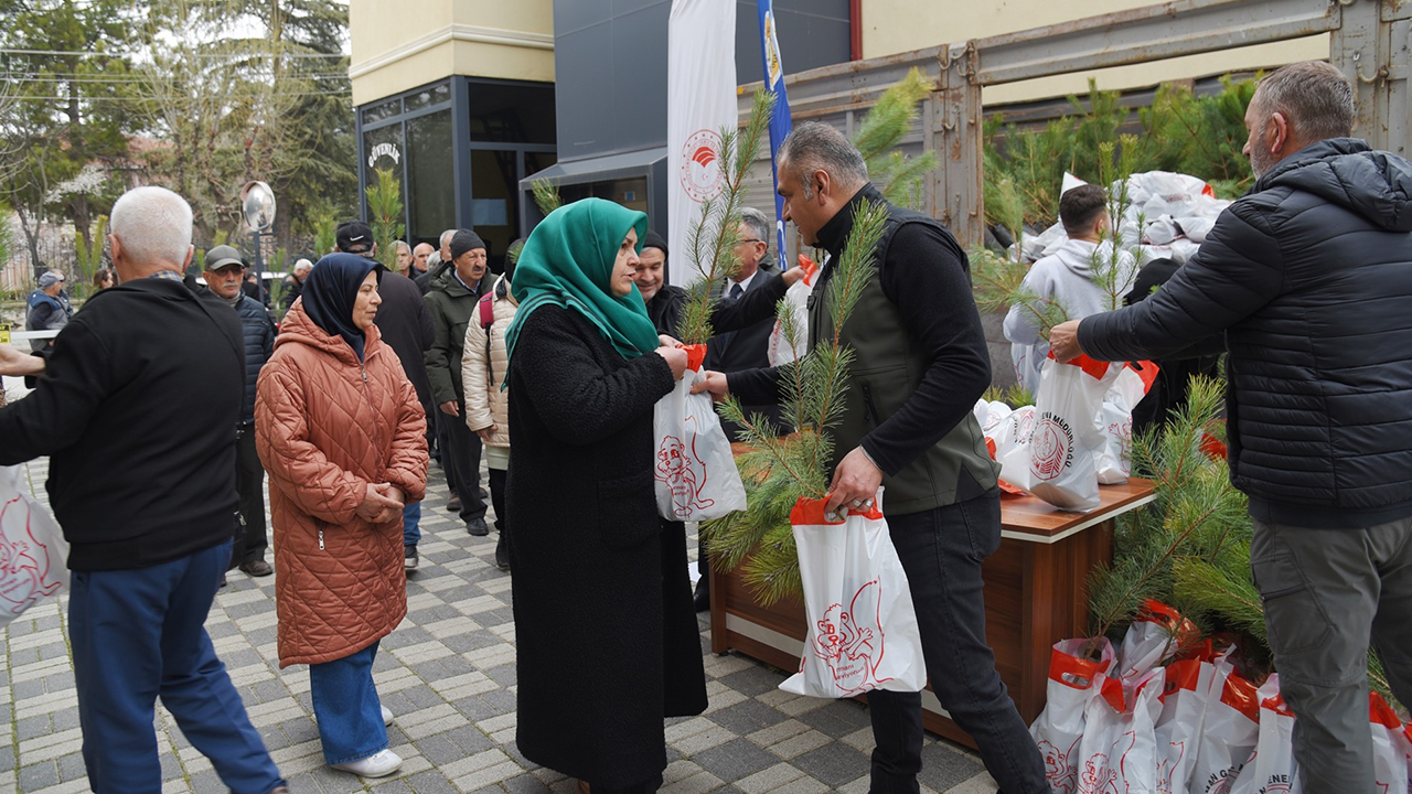 Orman Haftasında Ücretsiz Fidan Dağıtıldı