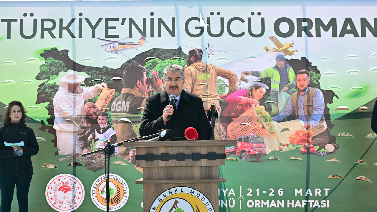 Vali Yılmaz Fidan Dikim Etkinliğinde Açıklamalarda Bulundu