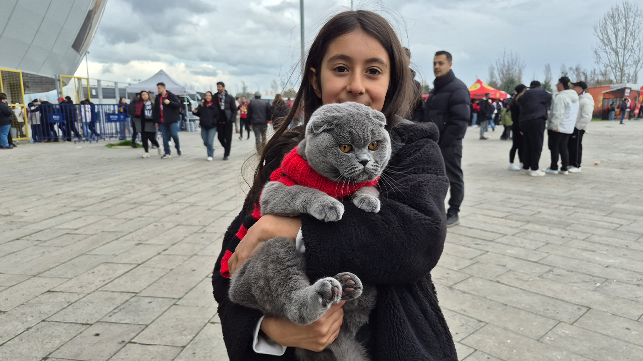 Arife Masal Sarıtaş Ve Kedisi Varil