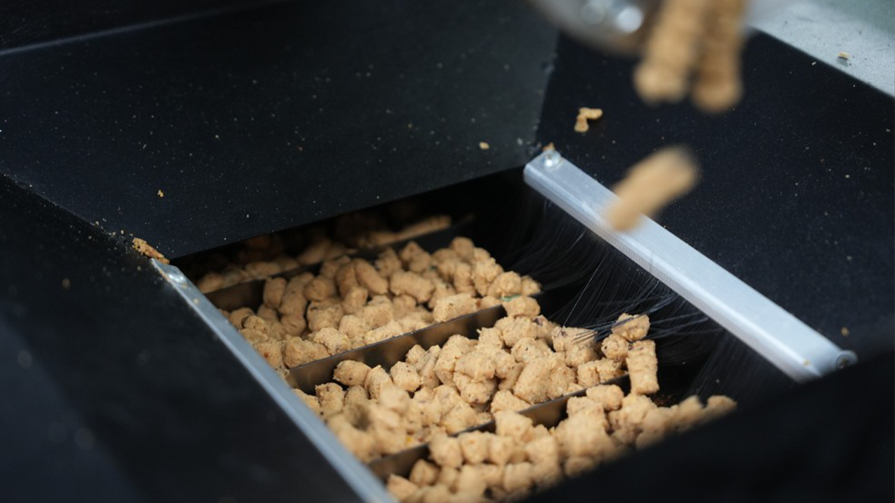 Atık Yemekler Sokak Hayvanları Için Mamaya Dönüşüyor