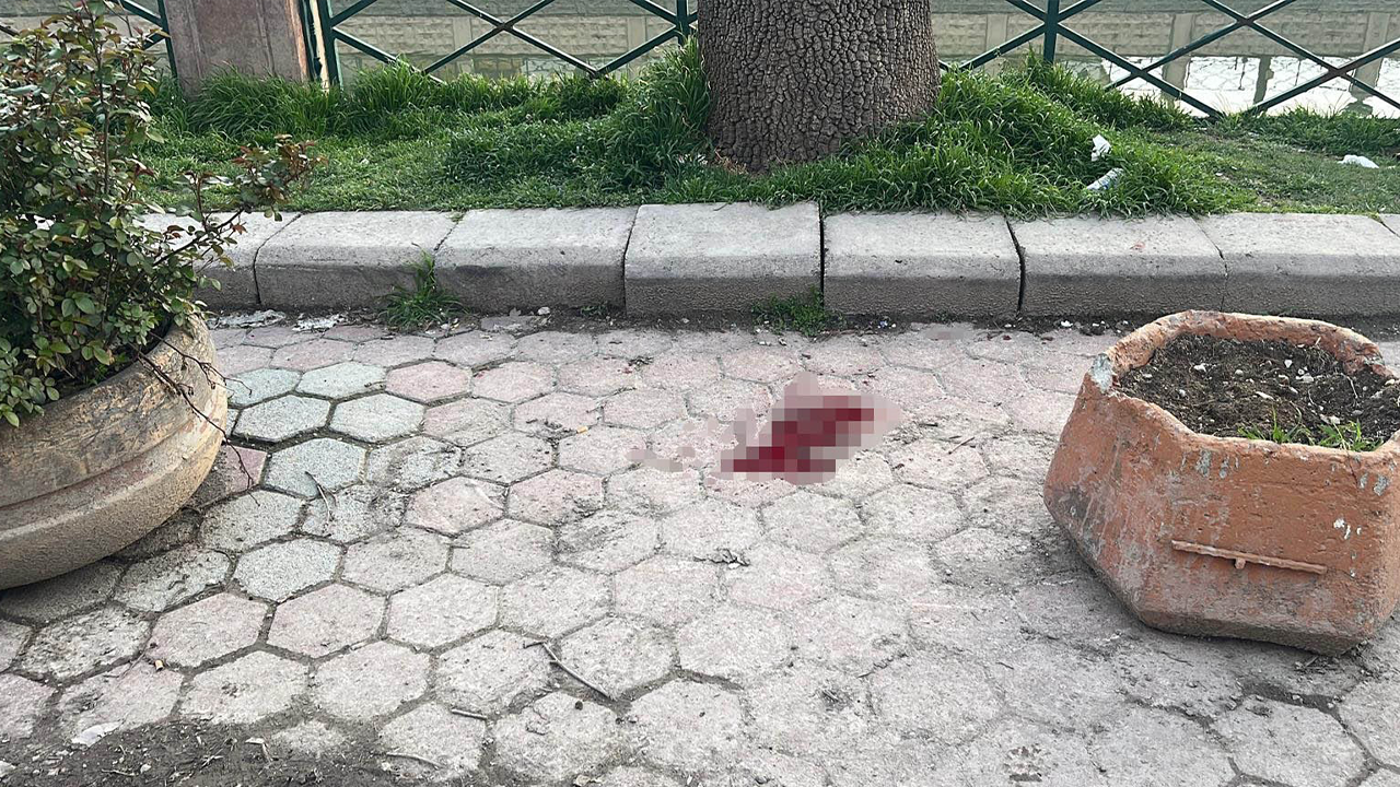 Bıçaklı Kavganın Yaşandığı Olay Yerinden Görüntü