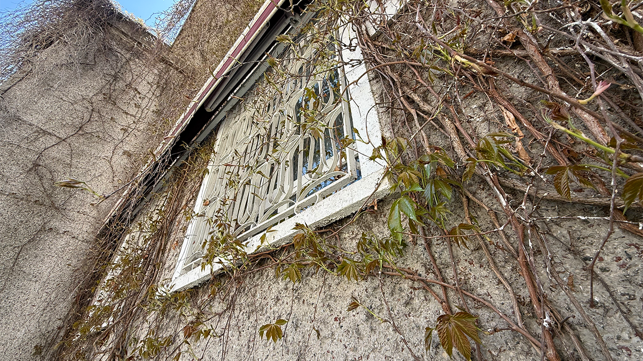 Caminin Dış Cephesi Yeniden Yeşerdi