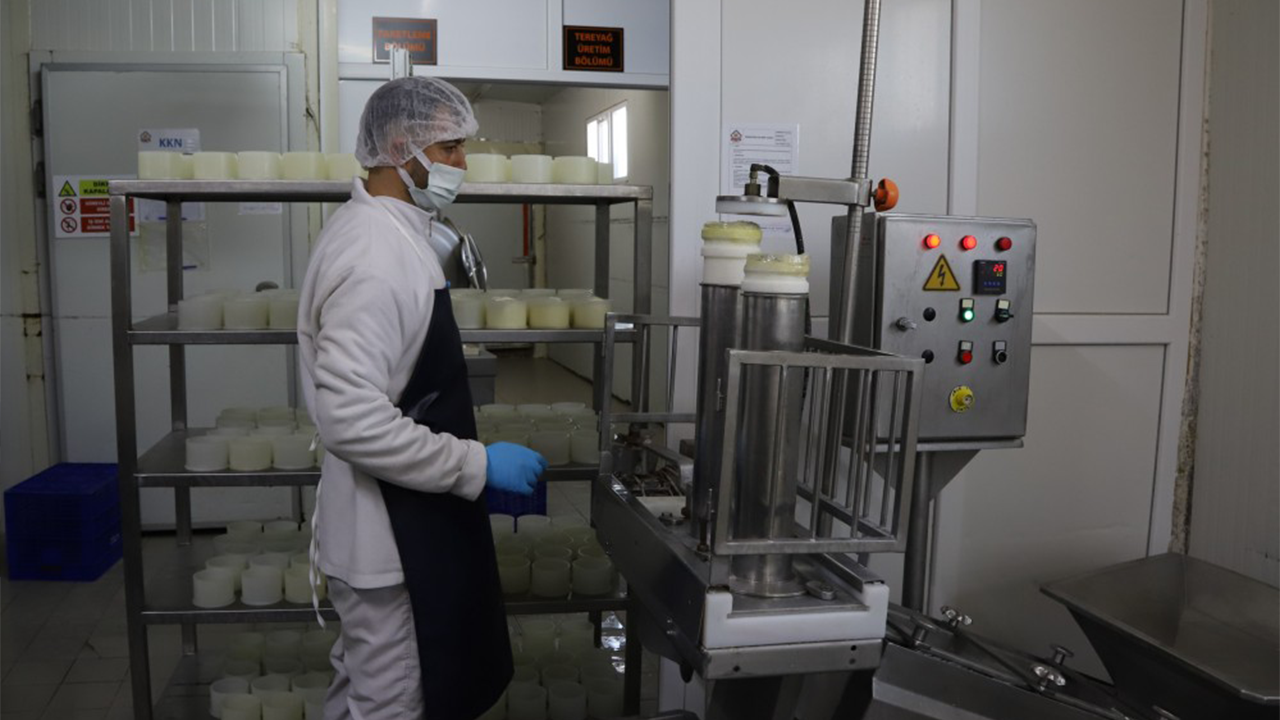 Eskişehir Halk Süt Işleme Tesisinden Kareler