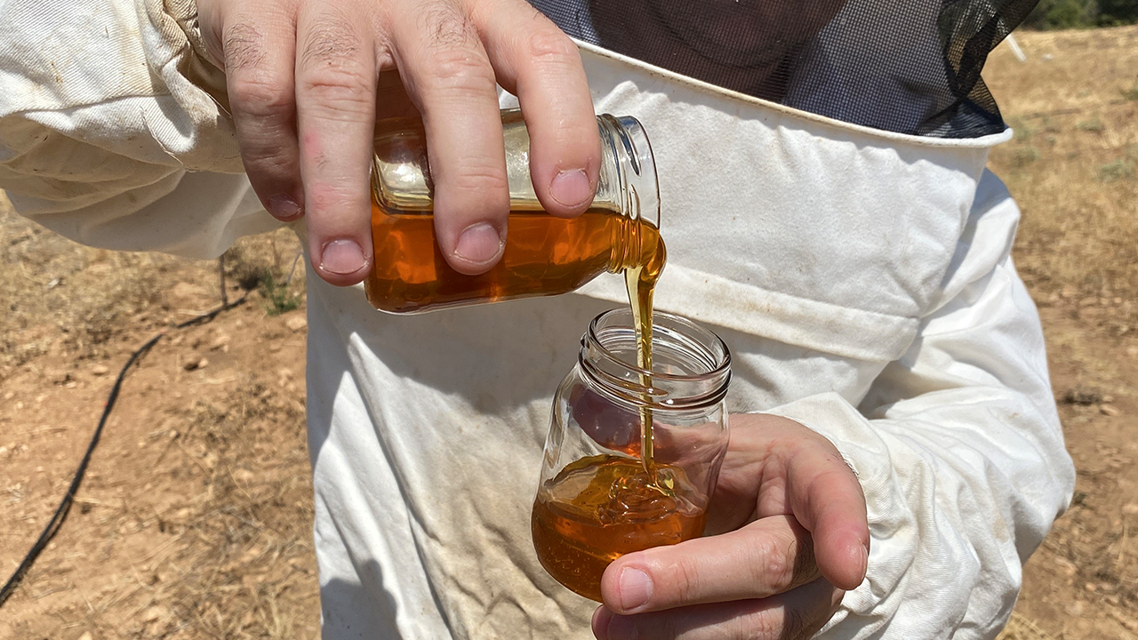 Eskişehir'de Üretilen Bal Kalitesiyle Öne Çıktı