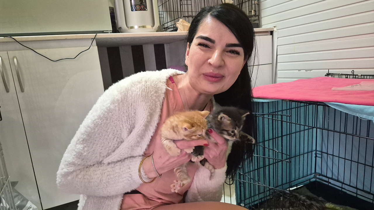 Eskişehir’de Yürek Isıtan Anlar! Hamile Kedi Kliniğe Sığındı