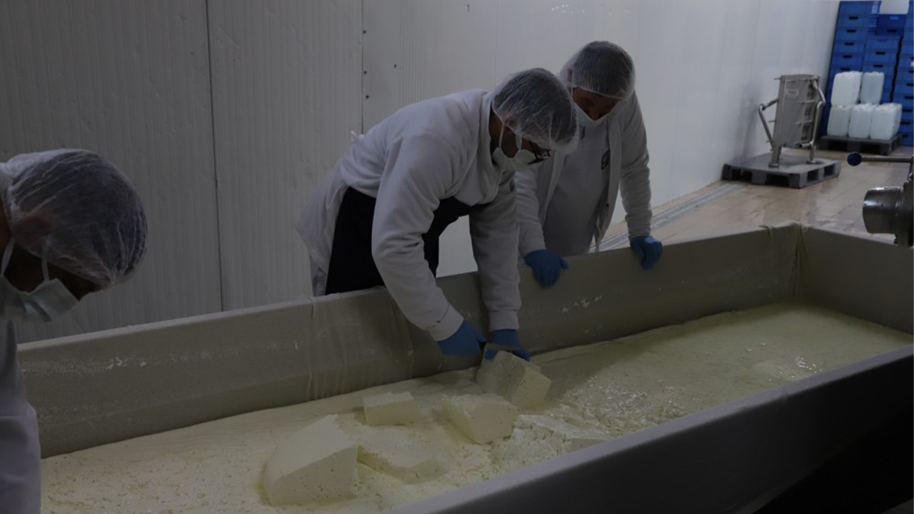 Halk Süt'te Hijyenik Koşullarda Üretim Gerçekleşiyor