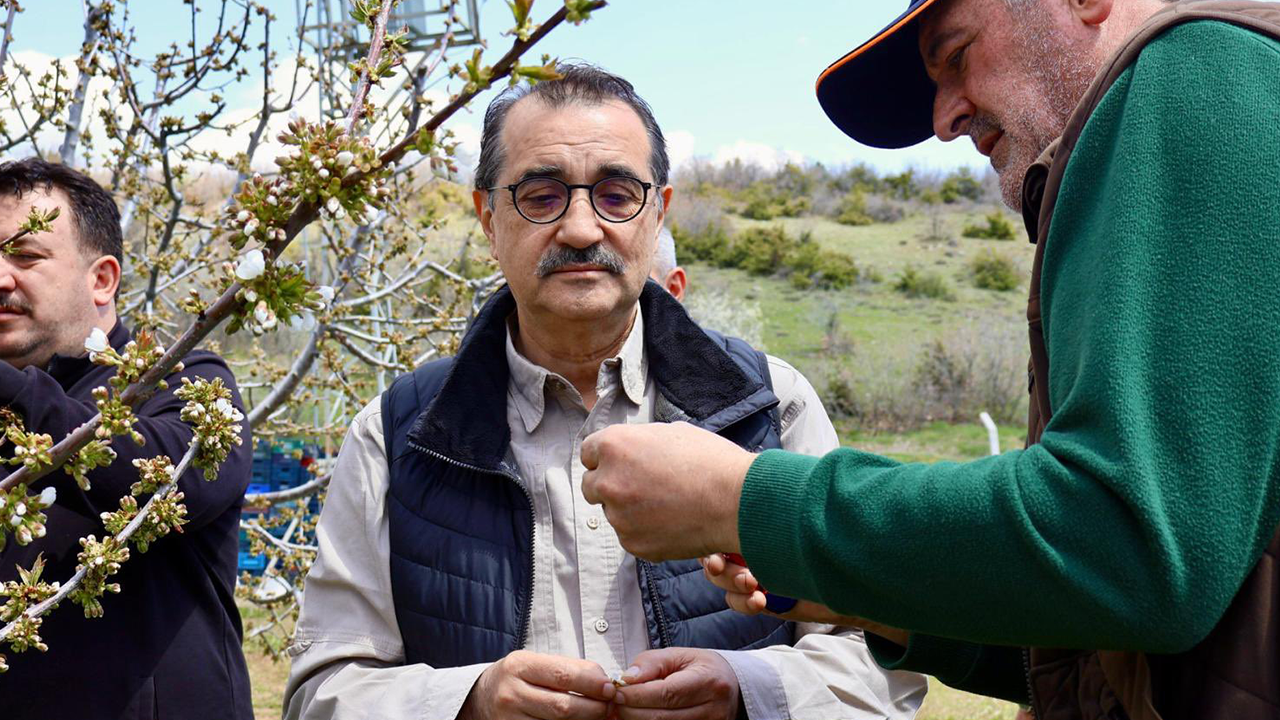 Milletvekili Dönmez Kiraz Bahçelerinde Incelemelerde Bulundu