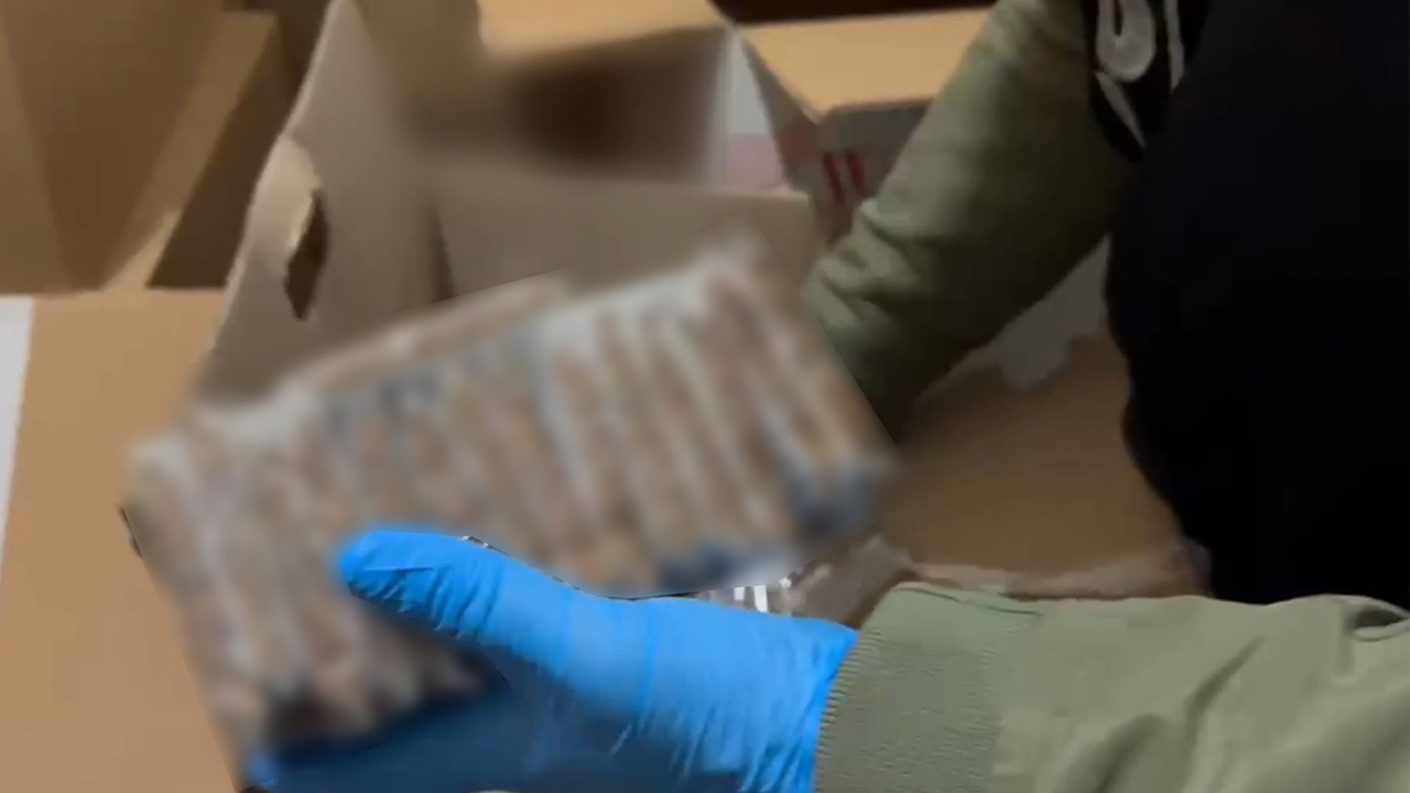 5 milyon dal Makaron Ele Geçirildi