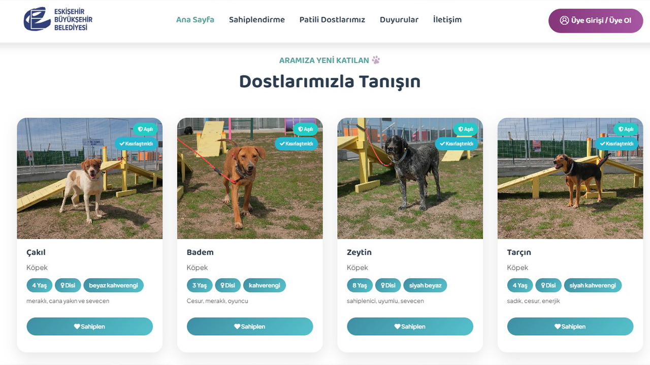 Dostlarımızla Tanışın Bölümü
