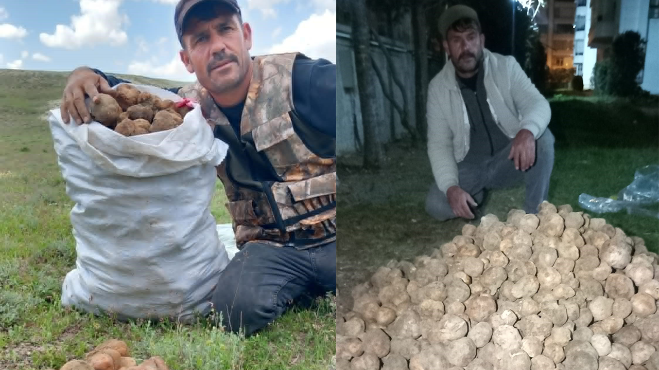 Sait Alkış