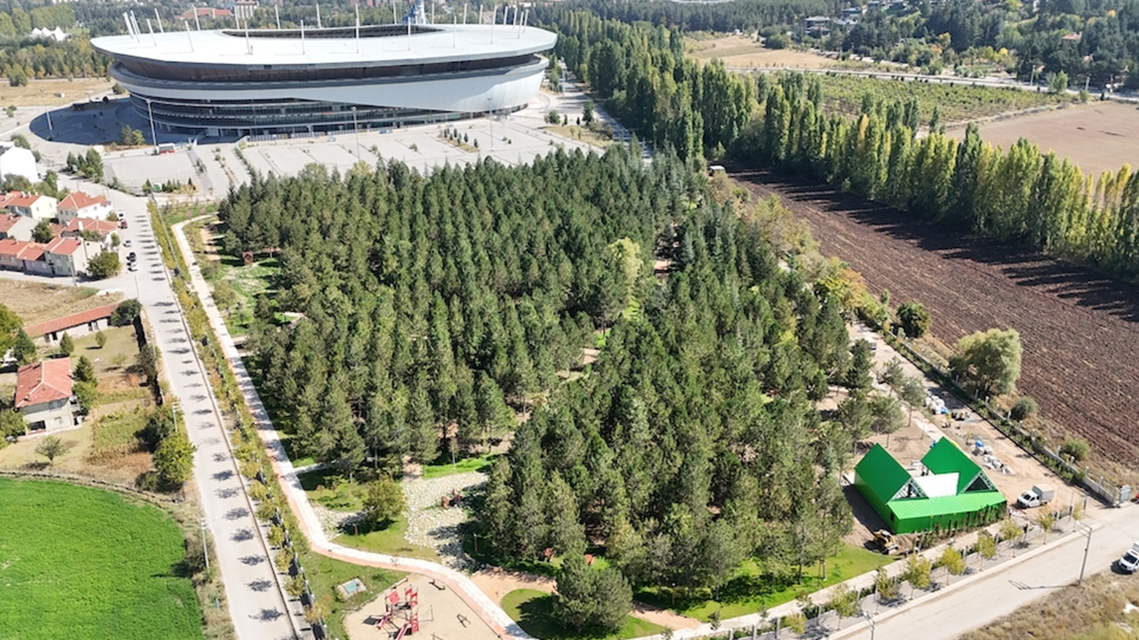 Emekliler Gününe Özel Sinema Etkinliği Düzenlenecek
