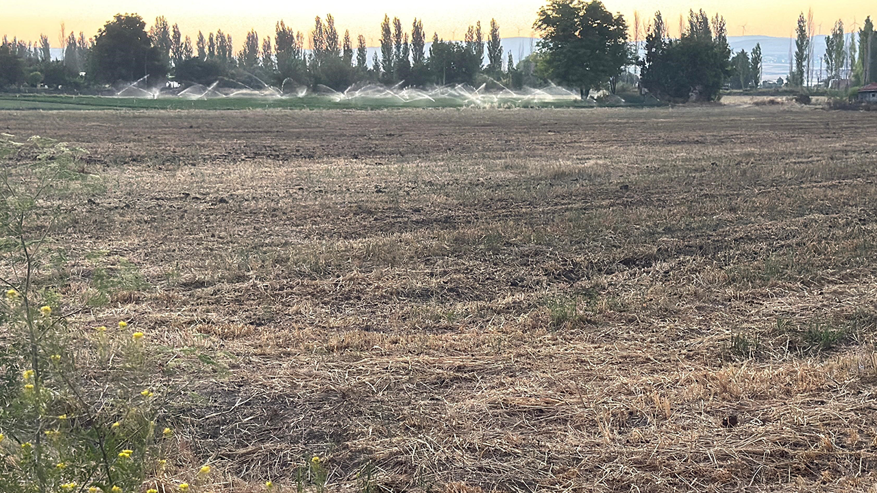 Mahalleyi Saran Gübre Kokusu Vatandaşları Bezdirdi