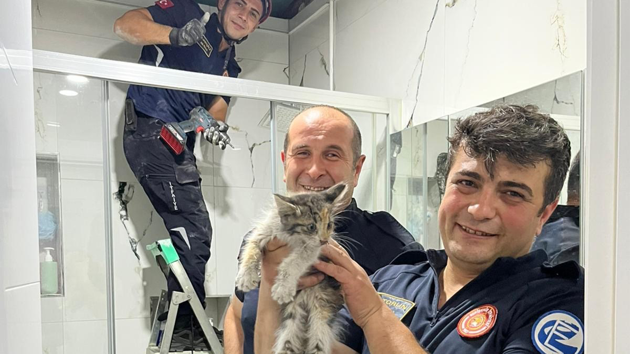 Minik Kedi Başarılı Şekilde Kurtarıldı