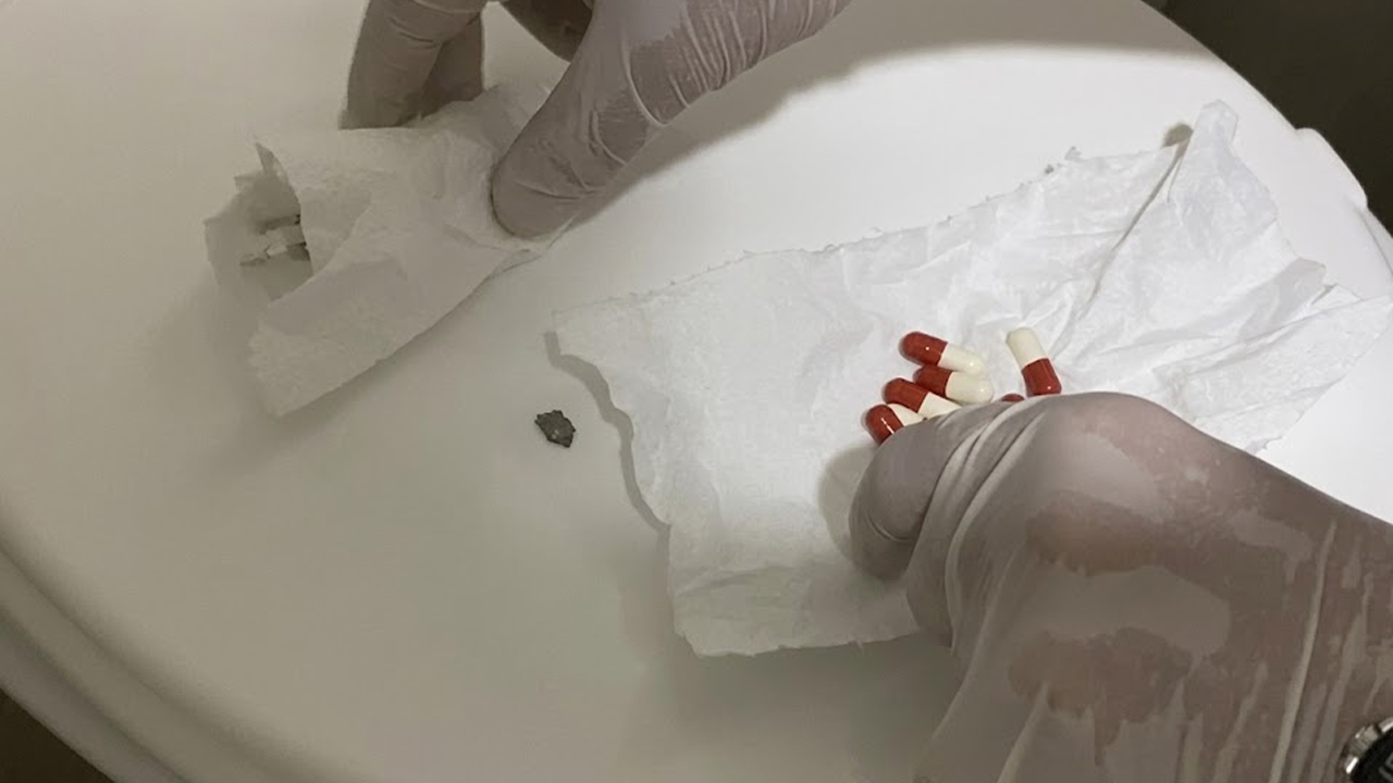 Narko Pars Operasyonunda Çeşitli Suç Unsurları Ele Geçirildi